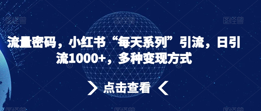 流量密码，小红书“每天系列”引流，日引流1000+，多种变现方式【揭秘】插图