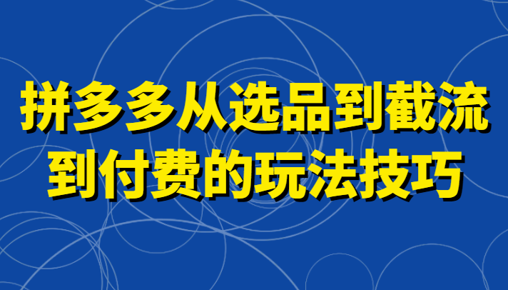 拼多多从选品到截流到付费的玩法技巧，助你掌握截流自然流量，高投产，强付费快速启动插图