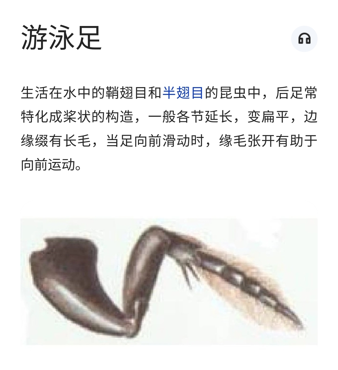 Screenshot_2024-02-02-17-07-43-156-edit_com.yjllq.kito.jpg