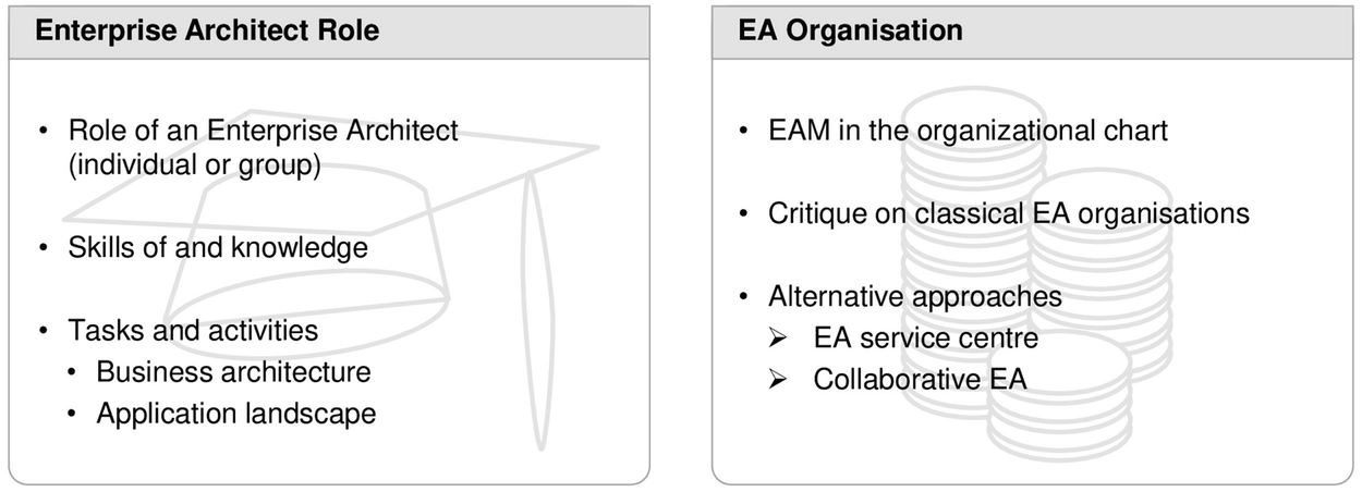 Enterprise Architect and Organization