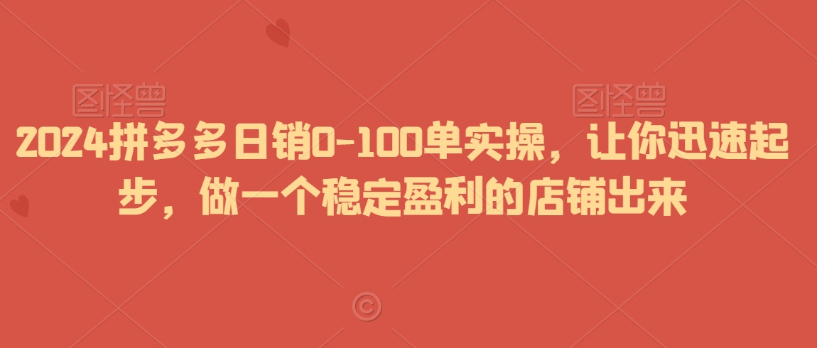 2024拼多多日销0-100单实操，让你迅速起步，做一个稳定盈利的店铺出来插图