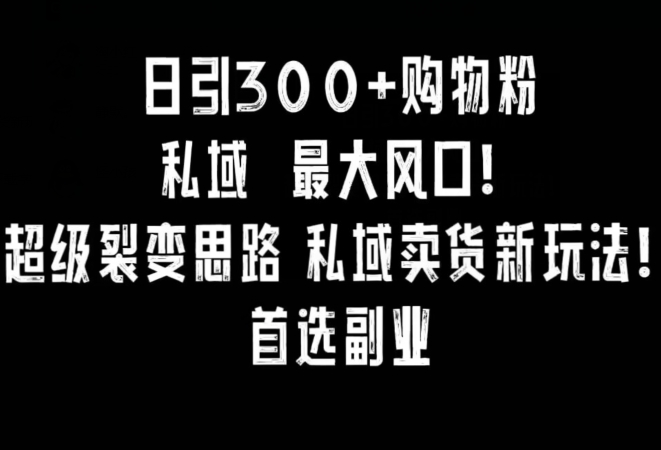 日引300+购物粉，超级裂变思路，私域卖货新玩法，小红书首选副业插图