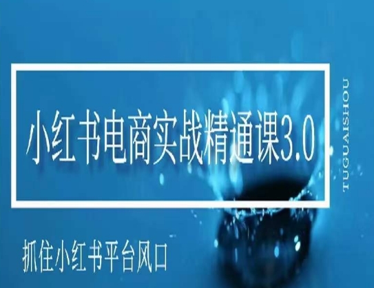 小红书电商实战精通课3.0，抓住小红书平台的风口，不错过有一个赚钱的机会插图