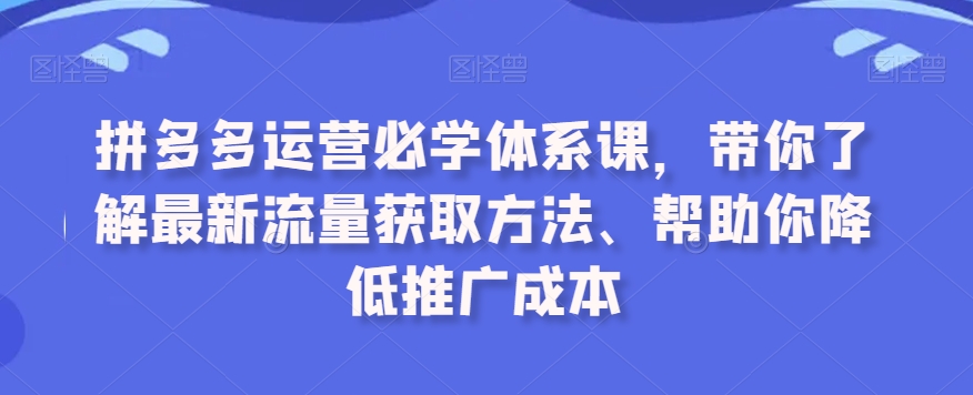 拼多多运营必学体系课，带你了解最新流量获取方法、帮助你降低推广成本插图