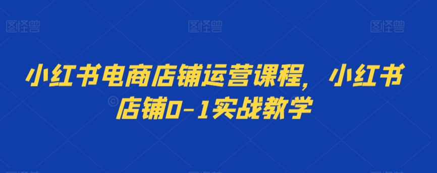 小红书电商店铺运营课程，小红书店铺0-1实战教学插图