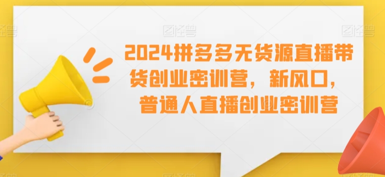 2024拼多多无货源直播带货创业密训营，新风口，普通人直播创业密训营插图