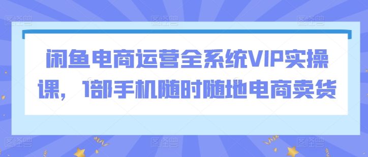 闲鱼电商运营全系统VIP实操课，1部手机随时随地电商卖货插图