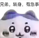 QQ图片20240330110417.png