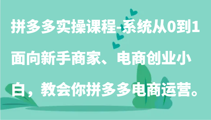 拼多多实操课程-系统从0到1，面向新手商家、电商创业小白，教会你拼多多电商运营。