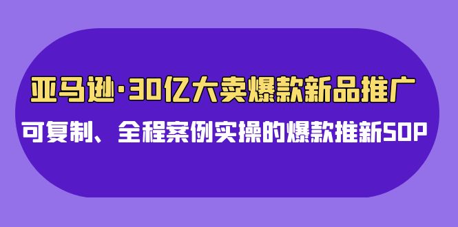 亚马逊30亿大卖爆款新品推广，可复制、全程案例实操的爆款推新SOP插图