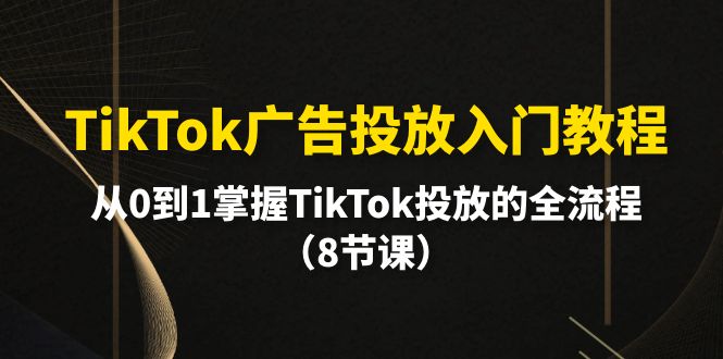 （10085期）TikTok广告投放入门教程，从0到1掌握TikTok投放的全流程（8节课）插图