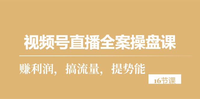 （10207期）视频号直播全案操盘课，赚利润，搞流量，提势能（16节课）插图