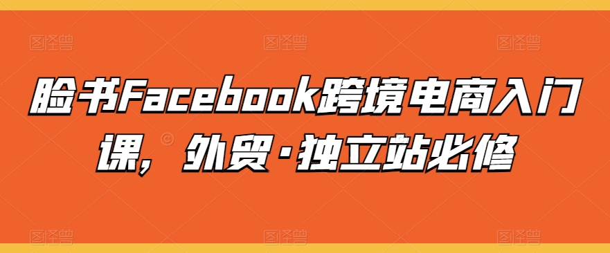 脸书Facebook跨境电商入门课，外贸·独立站必修插图