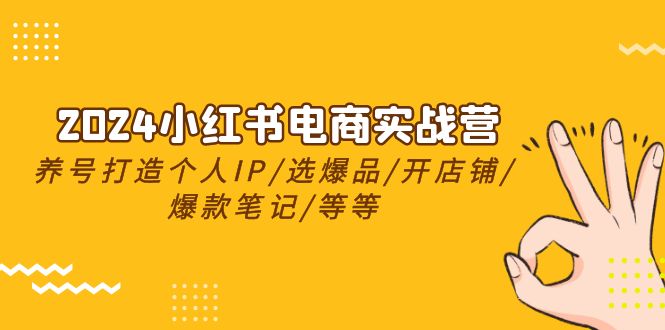 （10375期）2024小红书电商实战营，养号打造IP/选爆品/开店铺/爆款笔记/等等（24节）插图