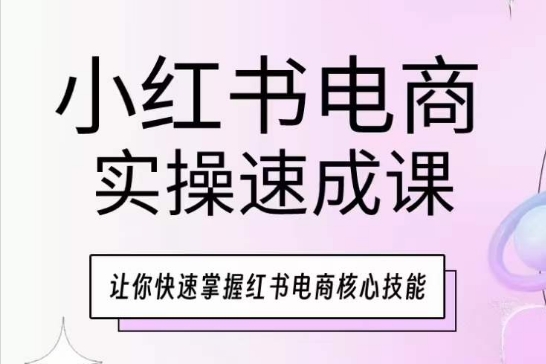 小红书电商实操速成课，让你快速掌握红书电商核心技能插图