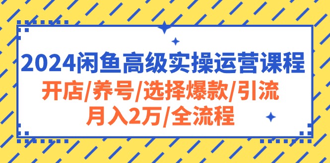 （10711期）2024闲鱼高级实操运营课程：开店/养号/选择爆款/引流/月入2万/全流程