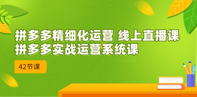 拼多多精细化运营 线上直播课：拼多多实战运营系统课（更新47节）插图