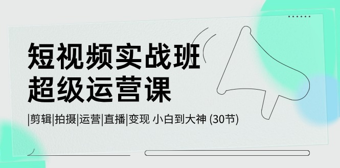 （10836期）短视频实战班-超级运营课，|剪辑|拍摄|运营|直播|变现 小白到大神 (30节)插图