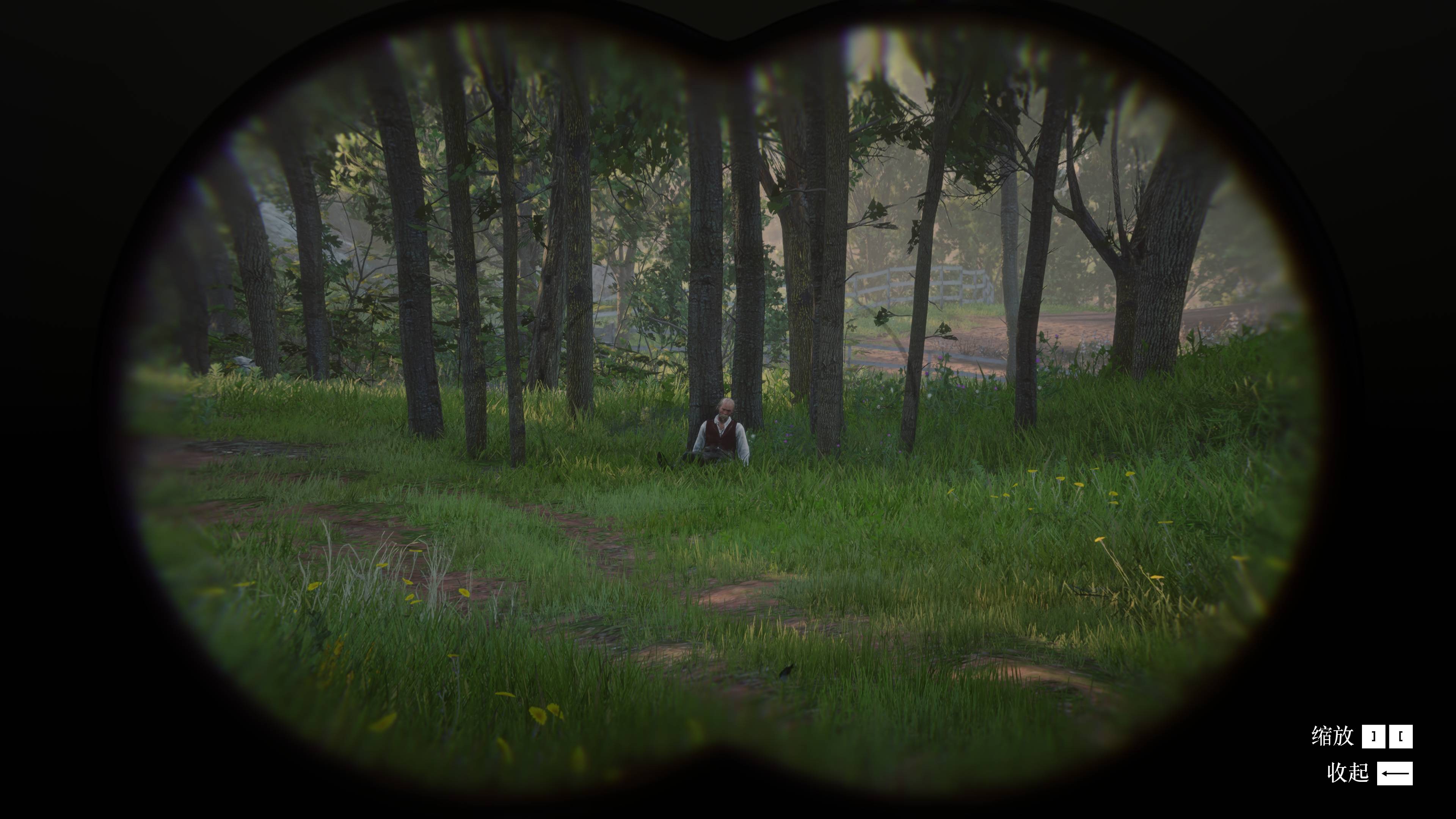 Red Dead Redemption 2 Screenshot 2024.06.08 - 20.01.28.20.jpg