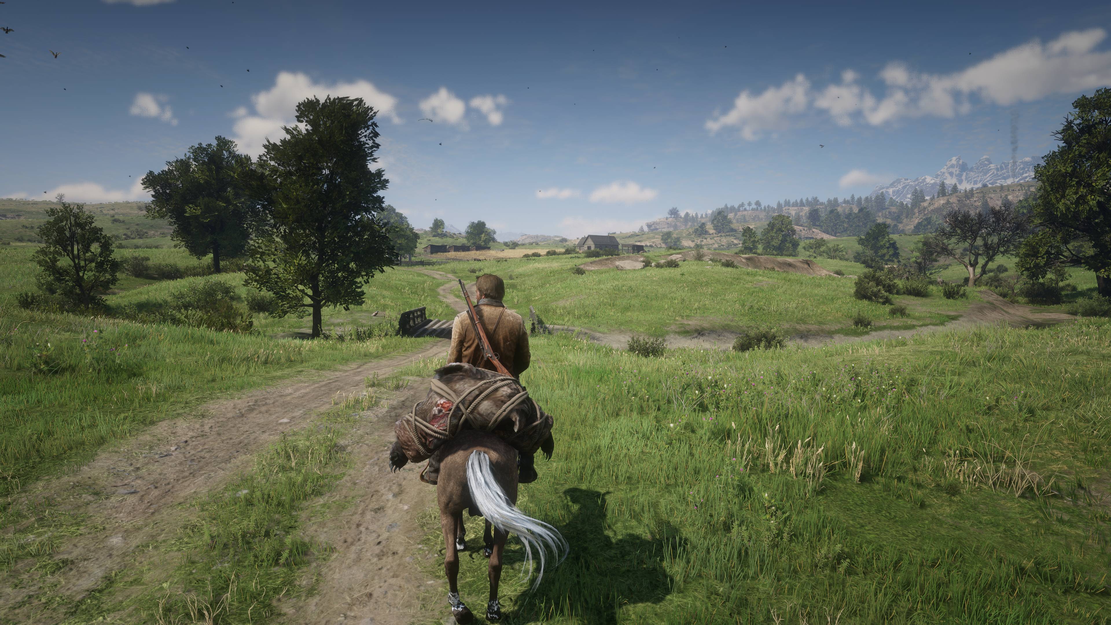 Red Dead Redemption 2 Screenshot 2024.06.02 - 16.46.33.96.jpg