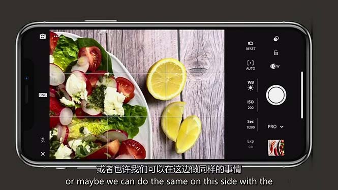 （11073期）iPhone 美食摄影-掌握美食摄影造型-构图和编辑艺术-21节课-中英字幕插图