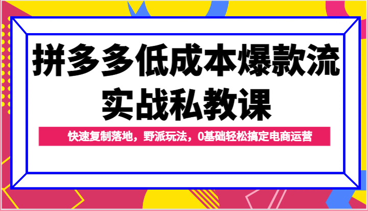 拼多多低成本爆款流实战私教课，快速复制落地，野派玩法，0基础轻松搞定电商运营