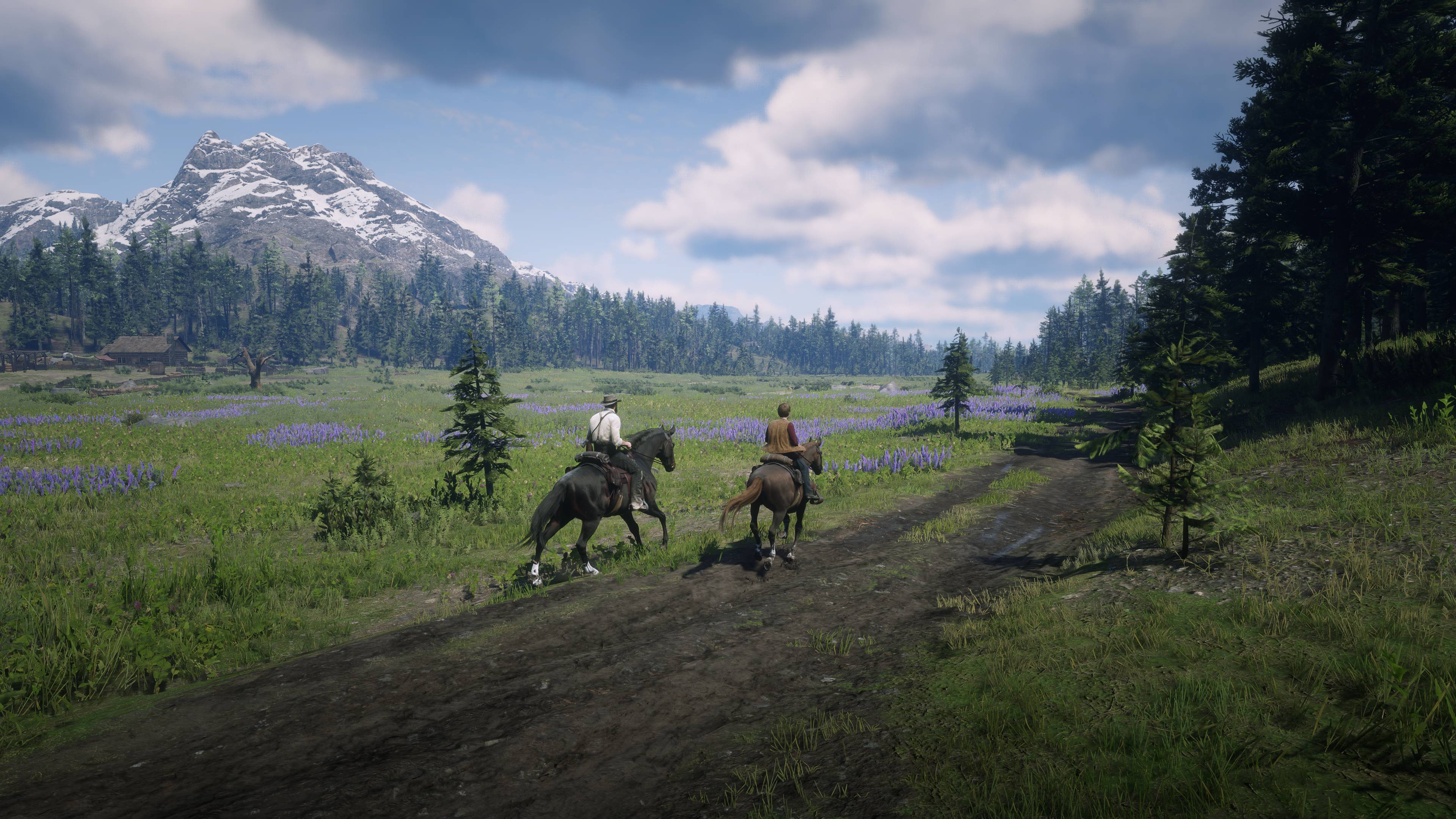 Red Dead Redemption 2 Screenshot 2024.06.27 - 12.50.04.14.jpg