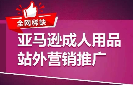 全网稀缺！亚马逊成人用品站外营销推广，教你引爆站外流量，开启爆单模式