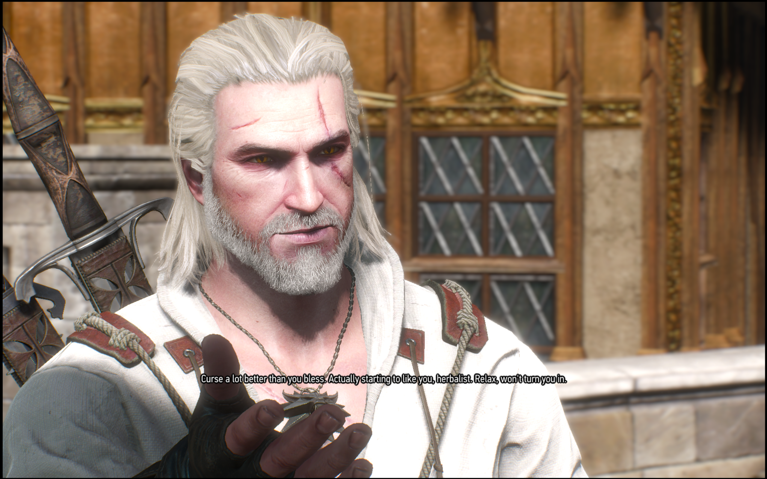 The Witcher 3 2024_5_31 0_19_32.png