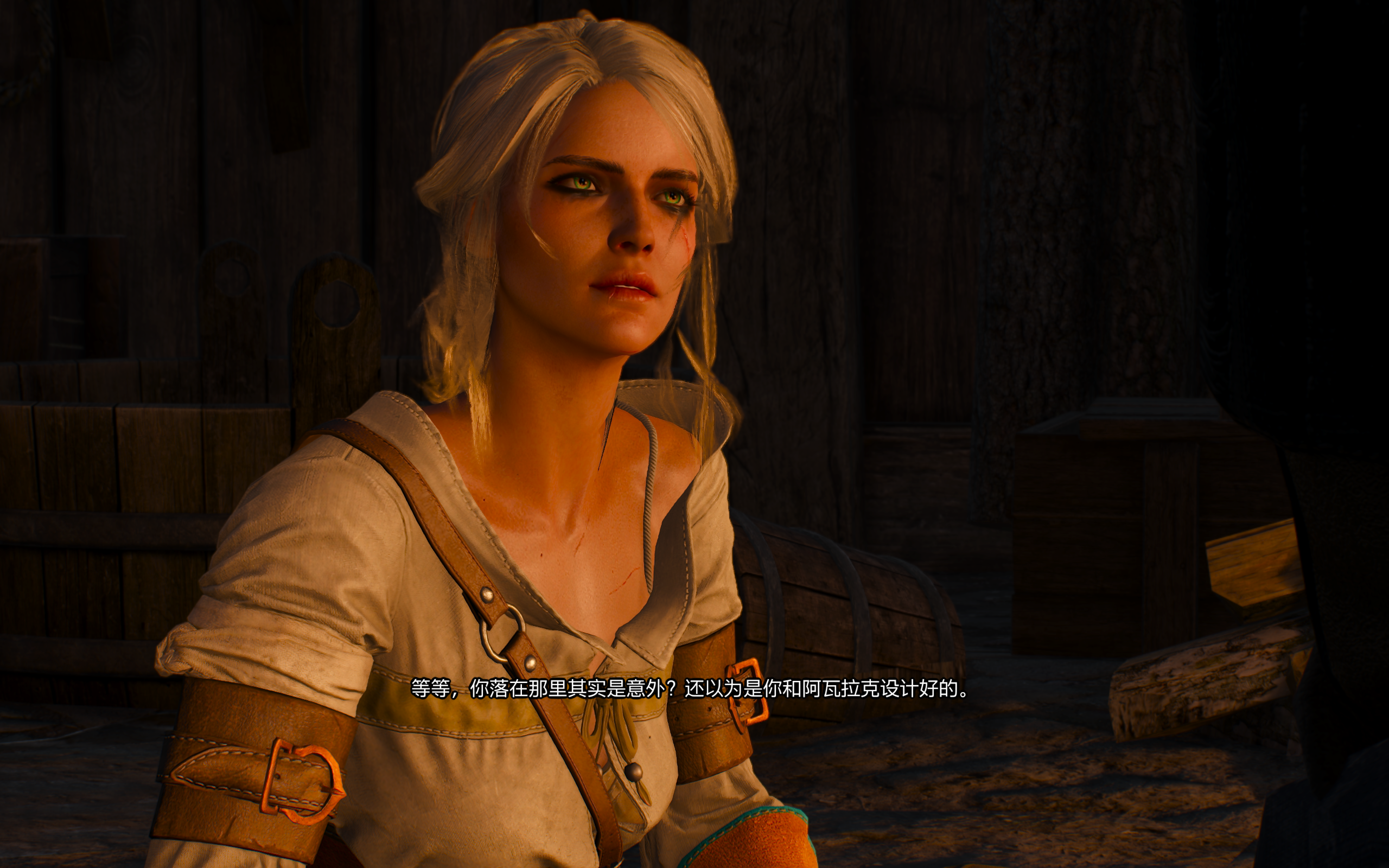 The Witcher 3 2024_7_7 16_16_56.png