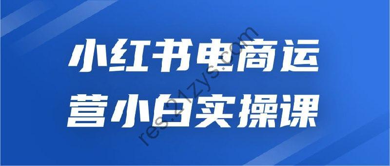 小红书电商运营小白实操课