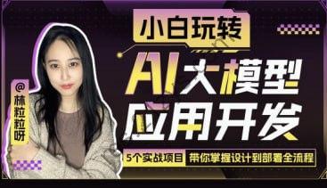 小白玩转AI大模型应用开发