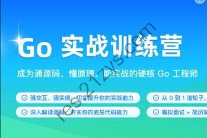 极客时间-Go 实战训练营1期