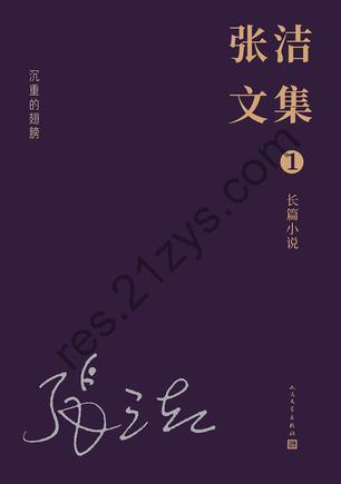 张洁文集：全13卷 [套装合集] [pdf+全格式]