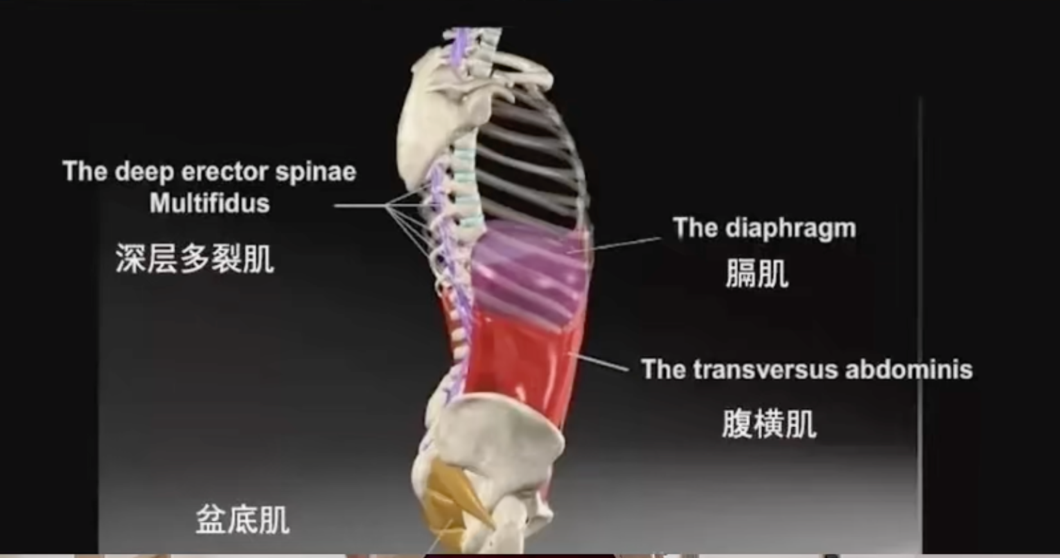 image-20241010233655277