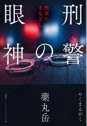 刑警的眼神 [小说文学] [pdf+全格式]