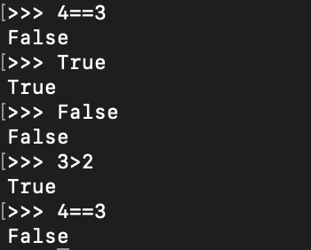 image-20241010195947286