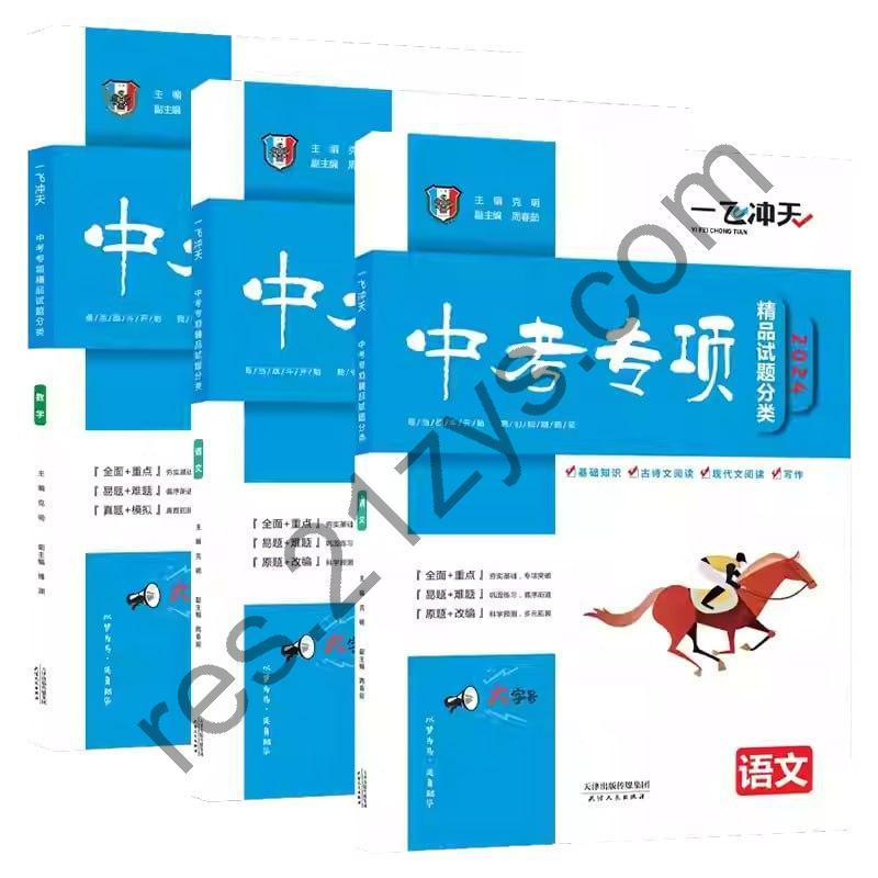 《一飞冲天》中考专项试题合集