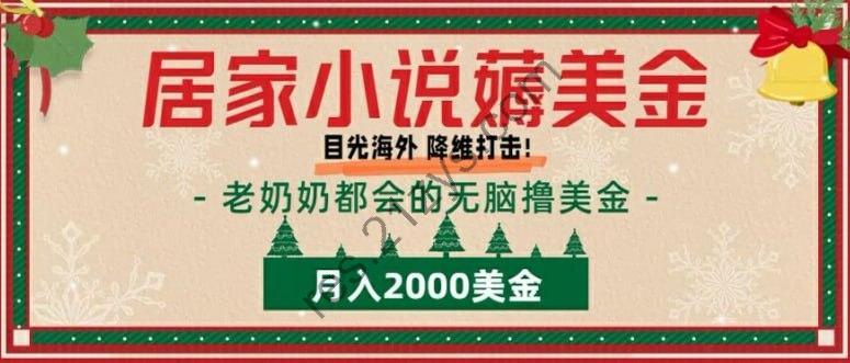 【居家小说薅美金】拆解海外撸美金项目月入2000美刀详细指导