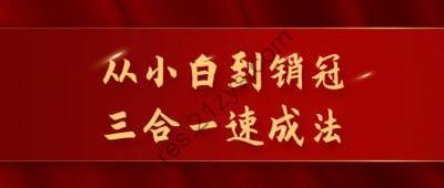 从小白到销冠三合一速成法