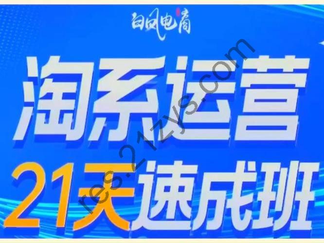 21天0基础轻松搞定淘系运营
