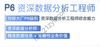 奈学教育|P6数据分析保薪班一期|完结高清