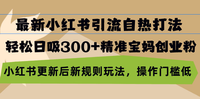 （13145期）最新小红书引流自热打法，轻松日吸300+精准宝妈创业粉，小红书更新后新…