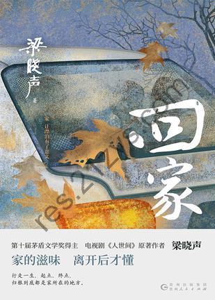 回家 [小说文学] [pdf+全格式]