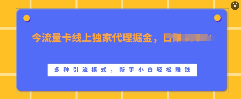 流量卡线上独家代理掘金，日入1k+ ，多种引流模式，新手小白轻松上手