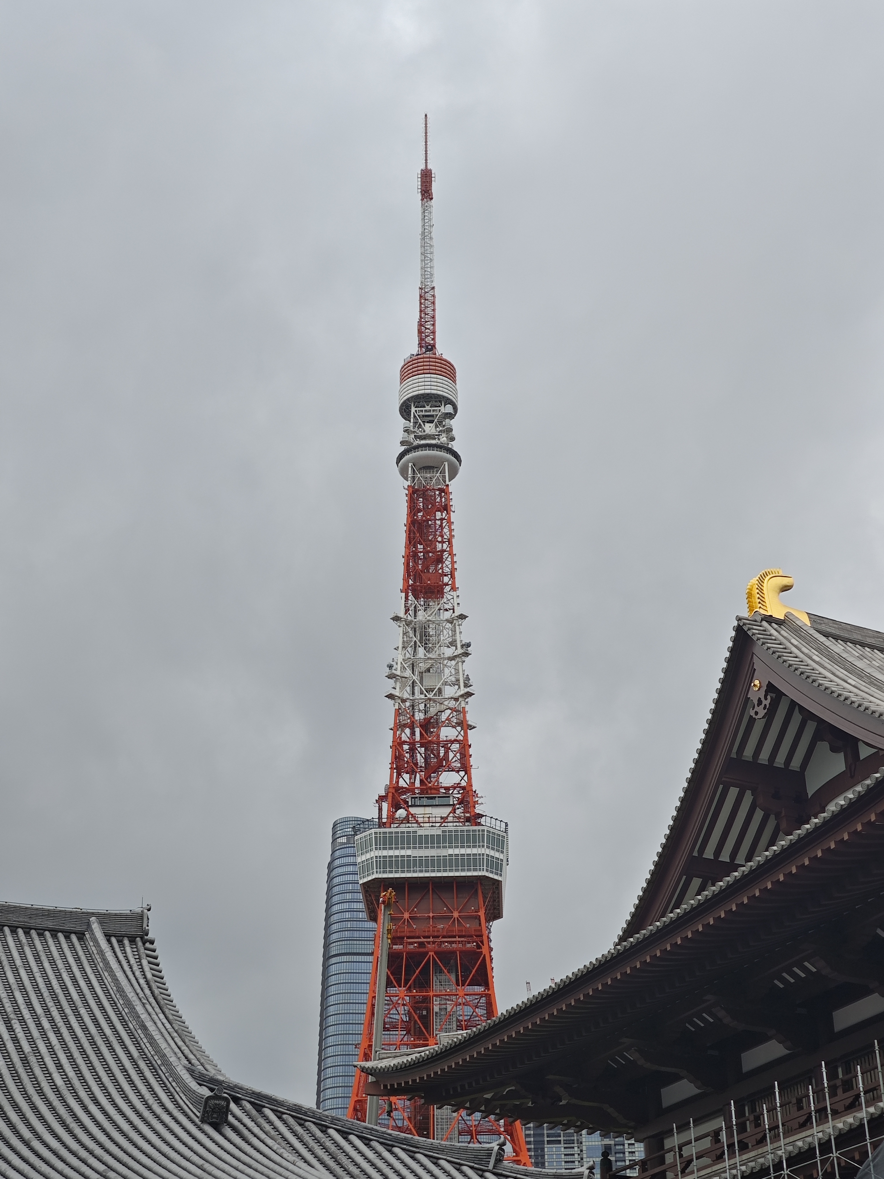 tokyo tower.jpg