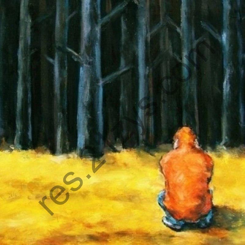 李志 – 梵高先生2005- ALAC 分轨