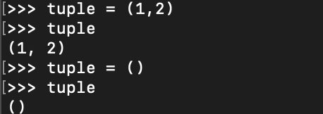 image-20241111200733886