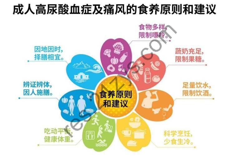 卫健委发布的成人高尿酸血症与痛风食养指南（2024年版）