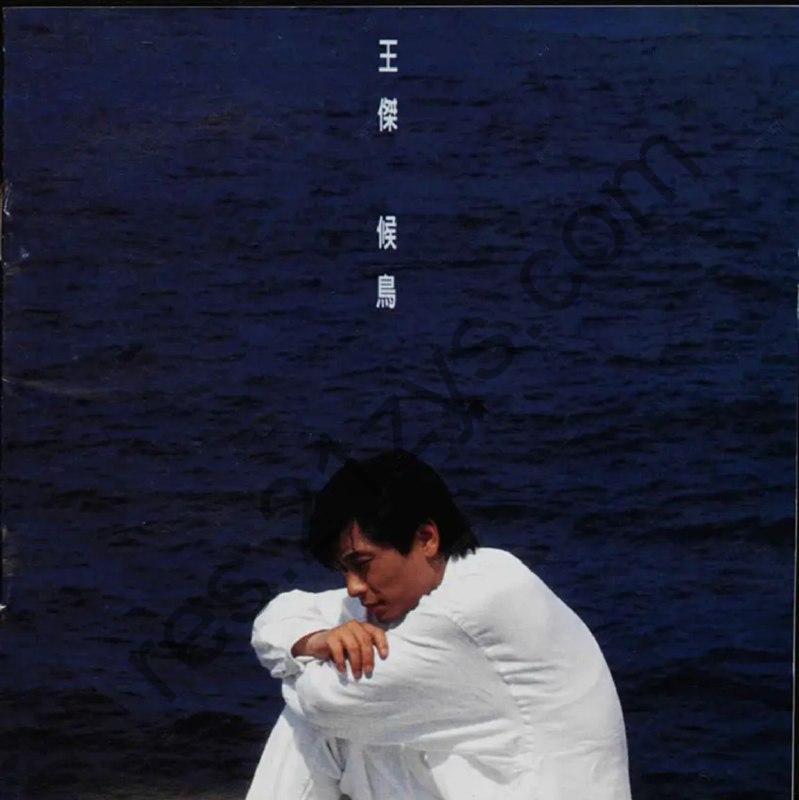 王杰 -1994年专辑 – 候鸟   Flac